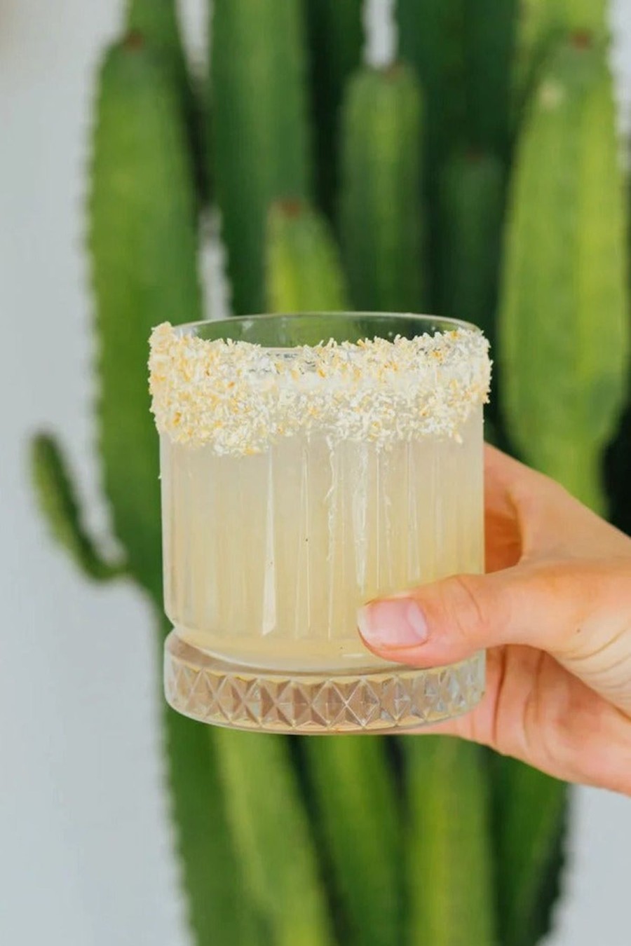 Homewares Mr Consistent | Mr Consistent Coconut Margarita Mixer