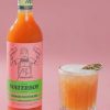 Homewares Mr Consistent | Mr Consistent Waterboy (Watermelon Margi) Mixer